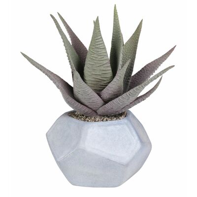 SPLENDID Haworsja sztuczna 17cm w doniczce