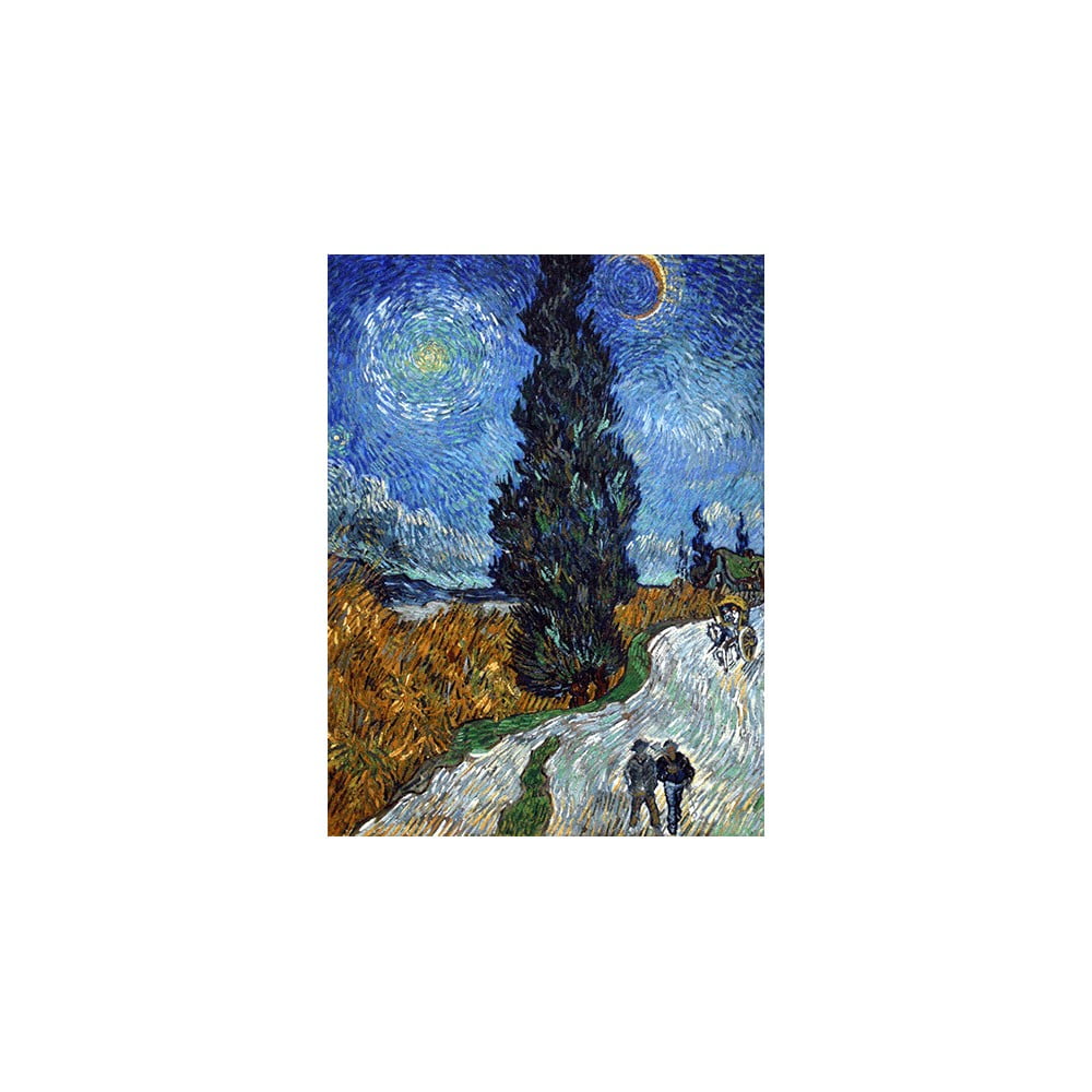Reprodukcja obrazu Vincenta van Gogha Country Road in Provence by Night – Fedkolor, 45c60 cm