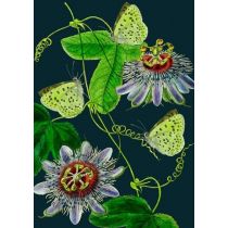 Karnet B6 z kopertą Passiflora nocą