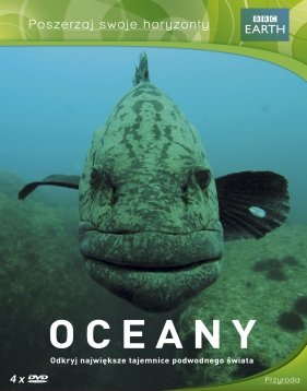 Best Film Oceany