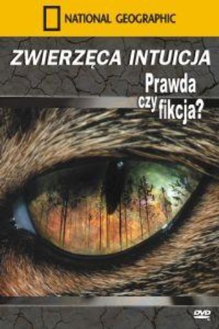 National Geographic: Zwierzęca Intuicja