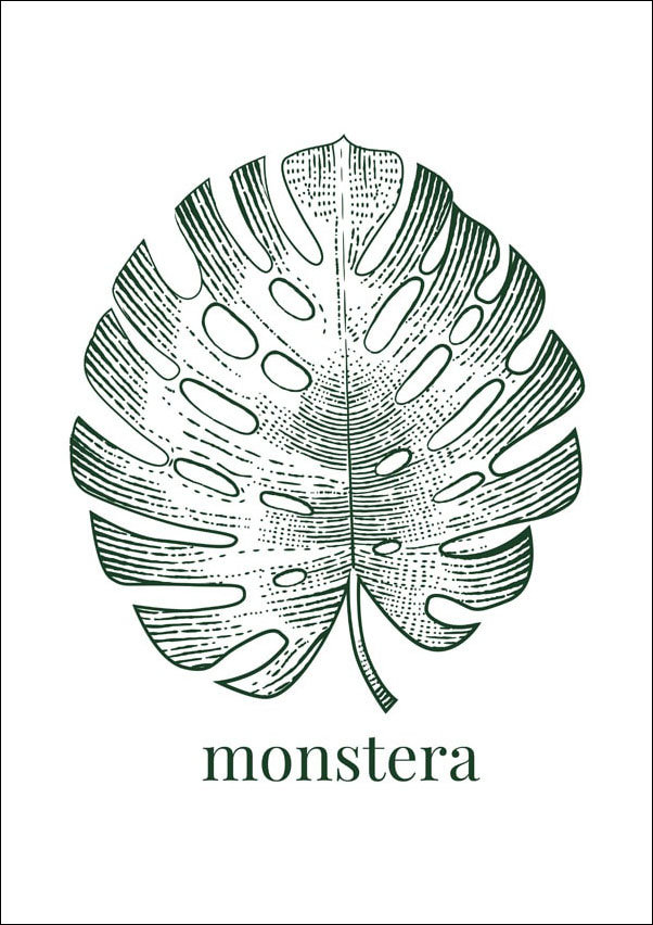 Reinders, Plakat, Liść VIII - monstera, 50x70 cm