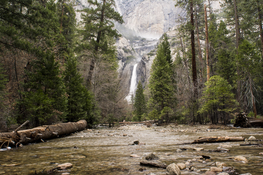 Reinders, Plakat, Wodospad w lesie, 70x50 cm