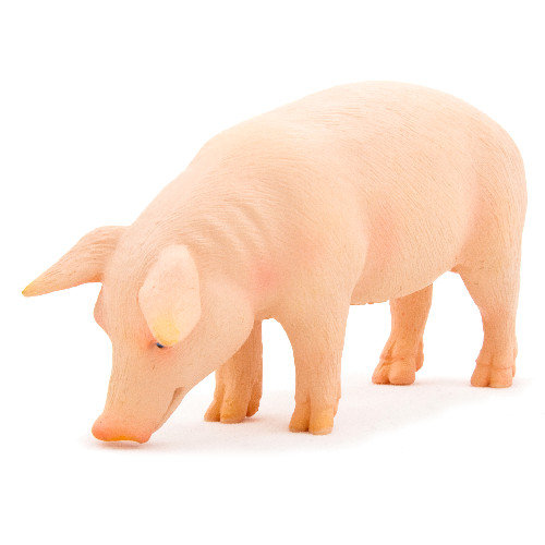 Animal Planet Figurka Świnia domowa knur