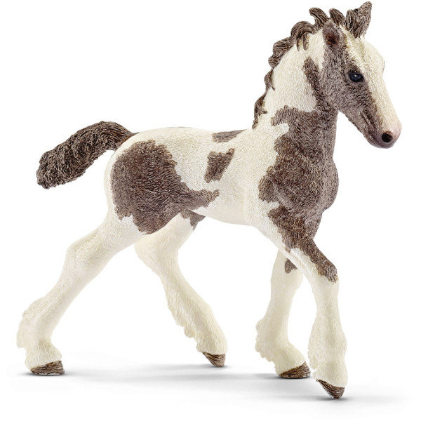 Schleich, figurka, Tinker Źrebię, 13774