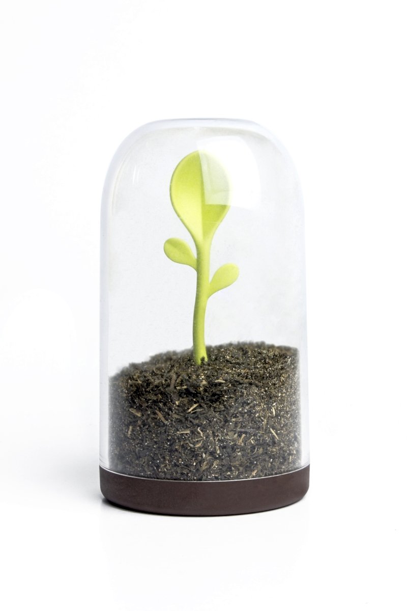 Qualy Sprout Jar Brązowy Pojemnik Na Herbatę Lub Kawę Plastikowy Z Łyżeczką