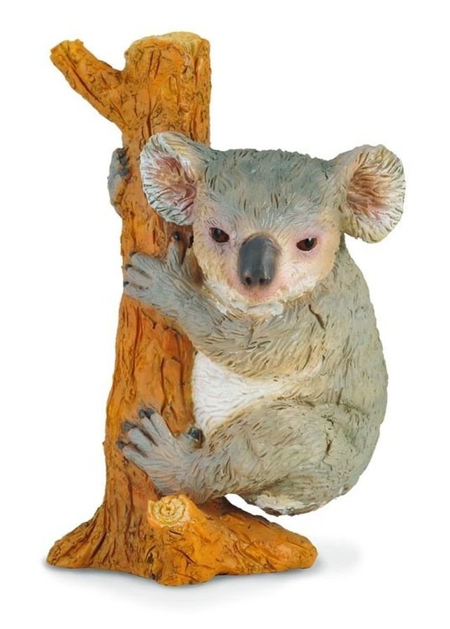 Collecta Miś koala wspinający się M