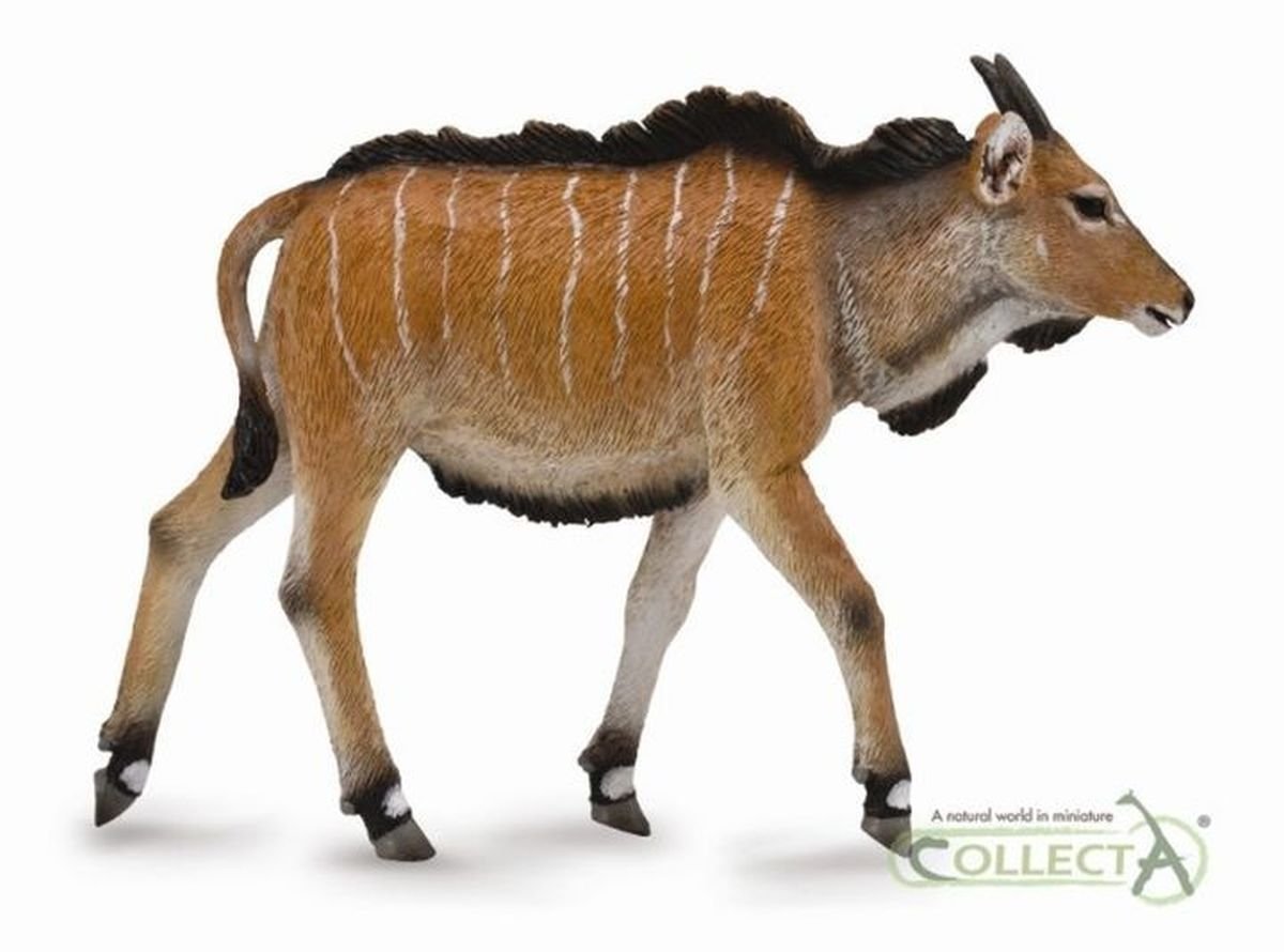 Collecta Antylopa Eland cielę M