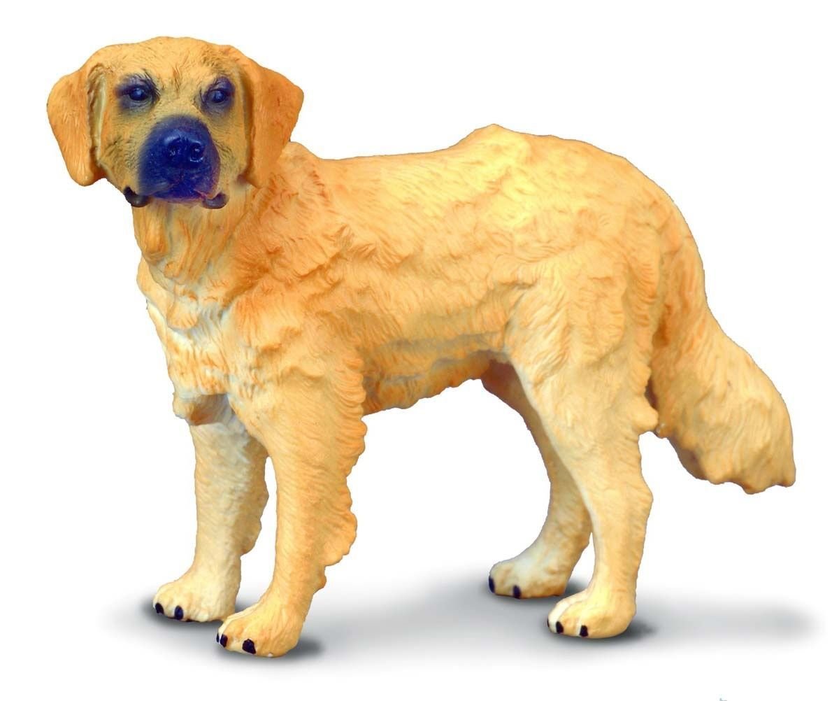 Collecta Pies rasy golden retriever