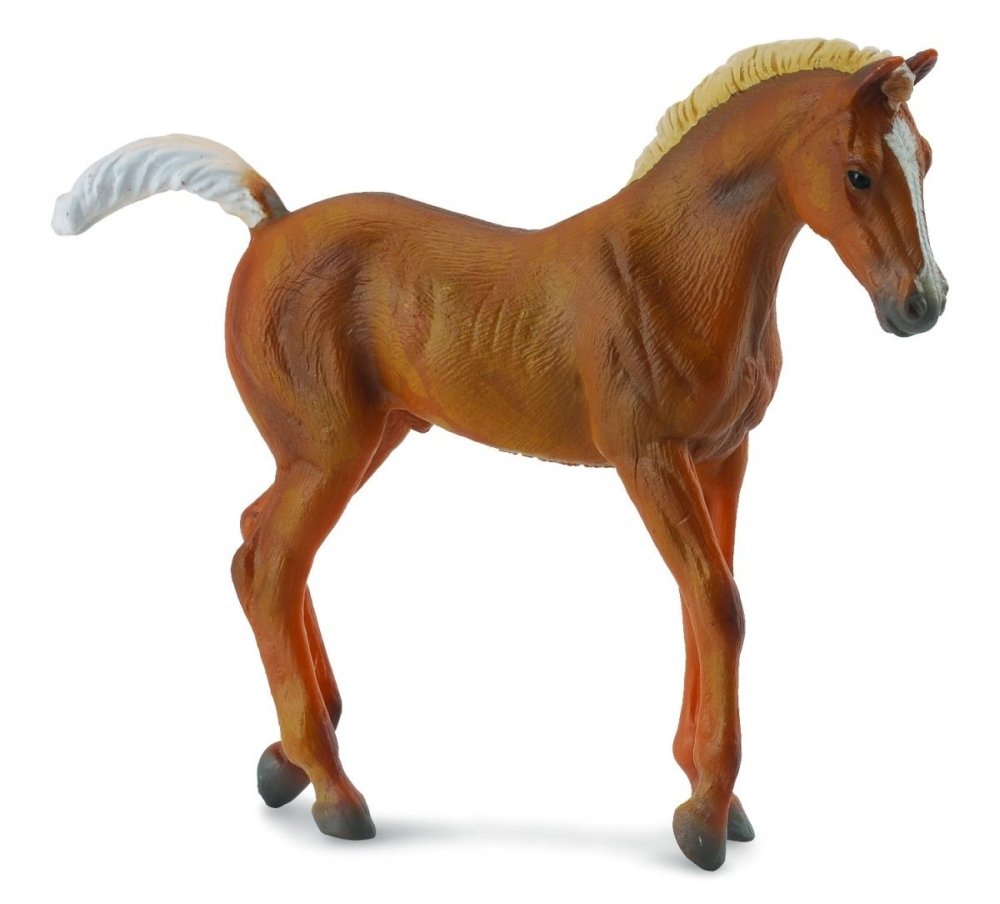 Collecta Źrebię Chestnut, spacerujące - figurka 4892900884516