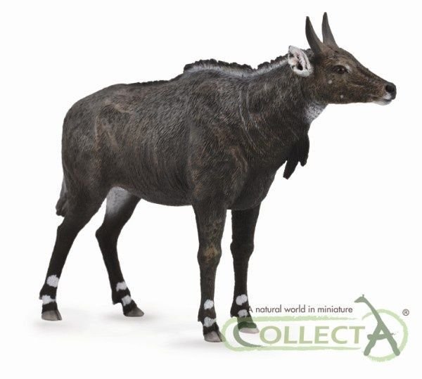 Collecta Nigau L