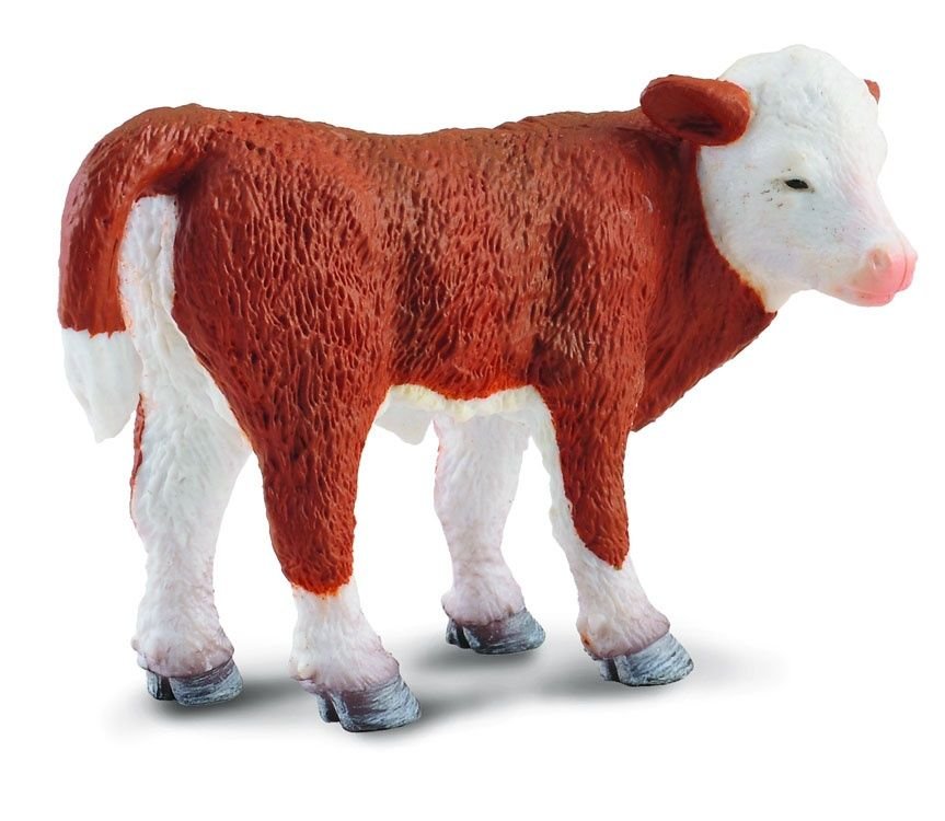Collecta Cielę rasy Hereford, stojące - minifigurka 4892900882369