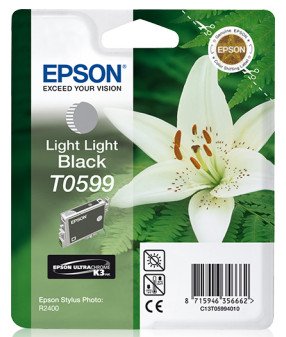 Epson T0599