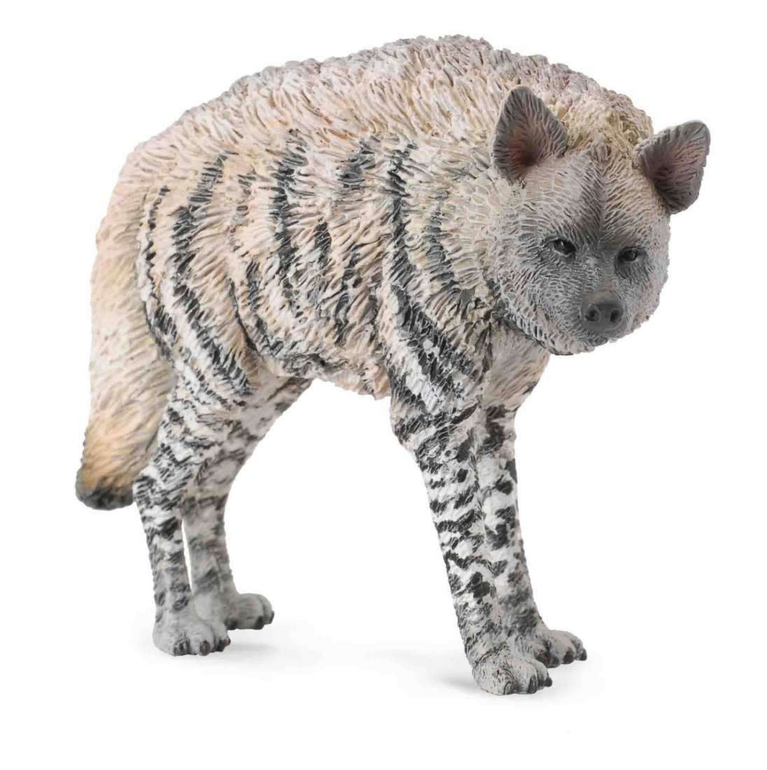 Collecta Hiena prążkowana