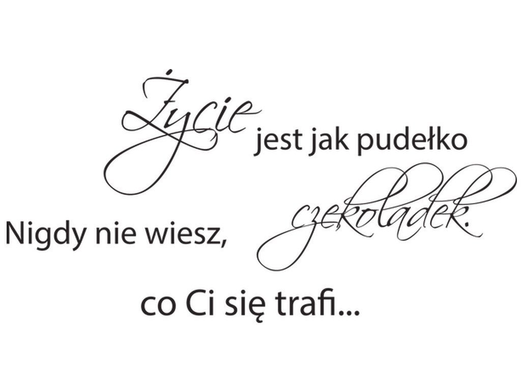 Cytaty, Życie jest jak pudełko czekoladek nigdy nie wiesz co ci się trafi, Naklejka ścienna wielokrotnego użytku, 100x50 cm