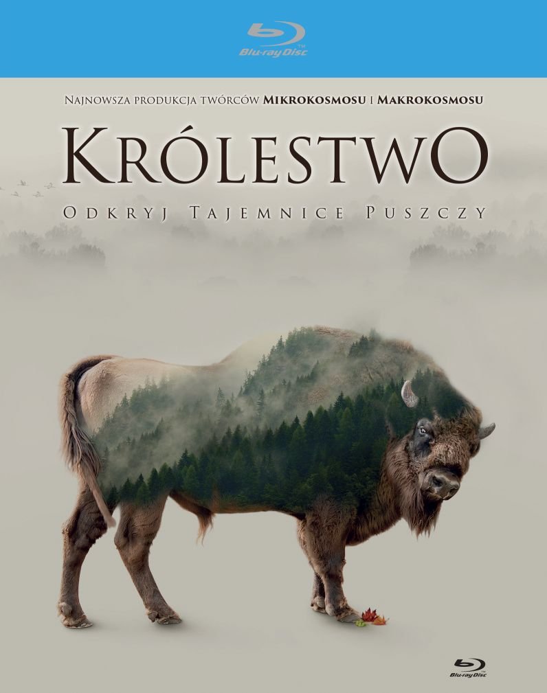 Królestwo