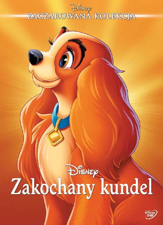 Zakochany kundel DVD Wysyłka 21.11