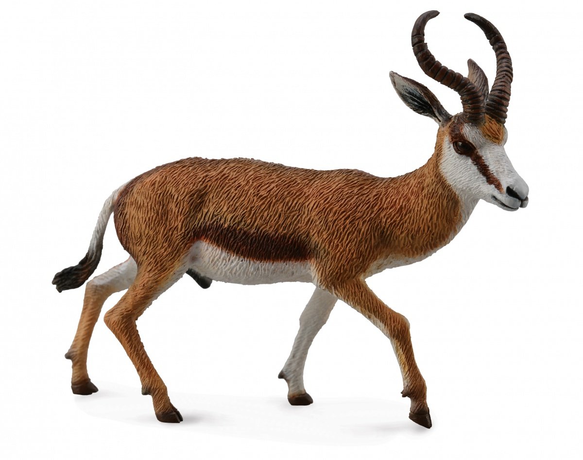 Collecta Kozioł springbok