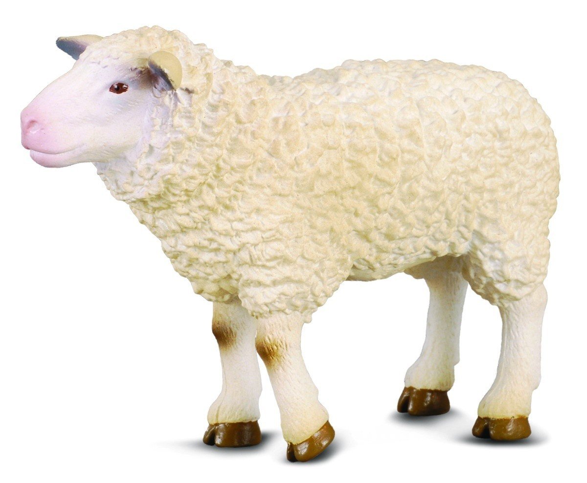 Collecta Owca M