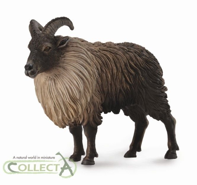 Collecta Tar himalajski