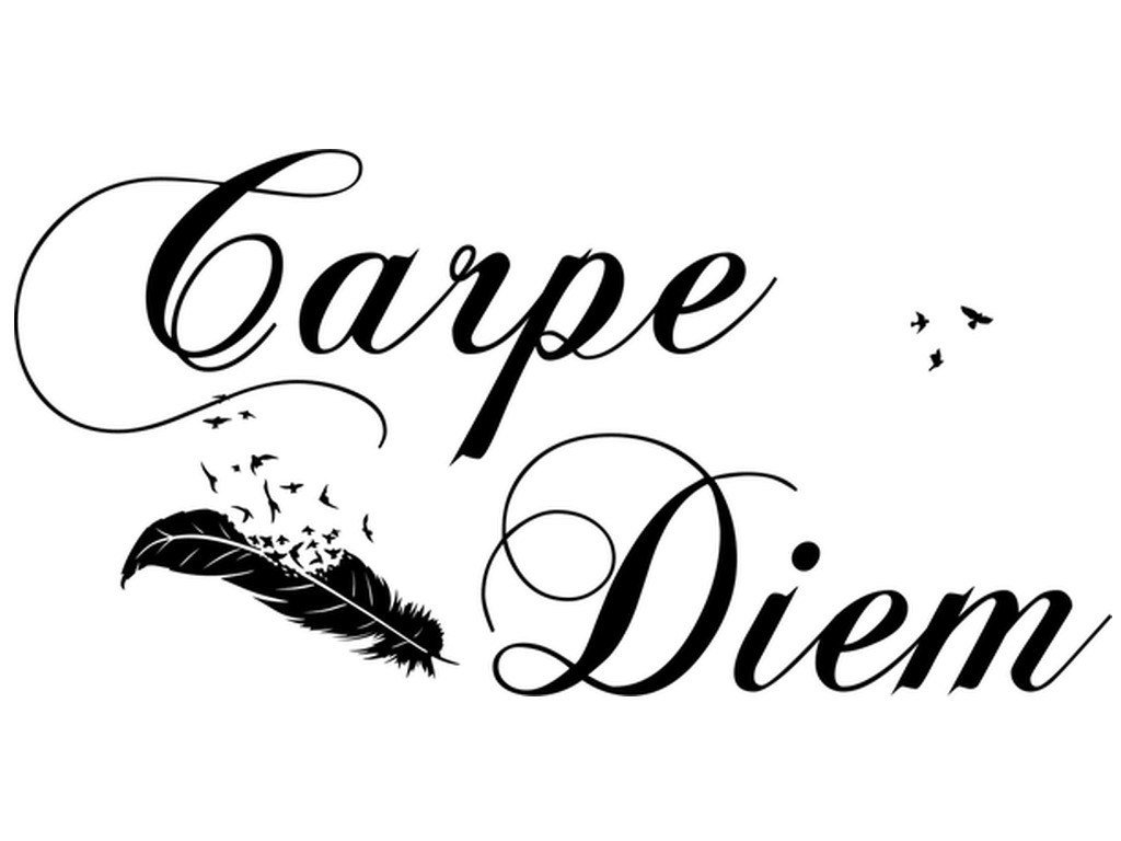 Cytaty, Carpe diem, Naklejka ścienna, 100x50 cm