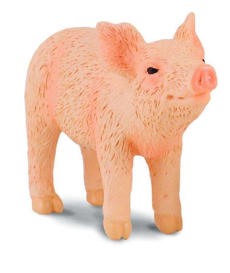 Collecta Świnka, prosię stojące - minifigurka 4892900880631
