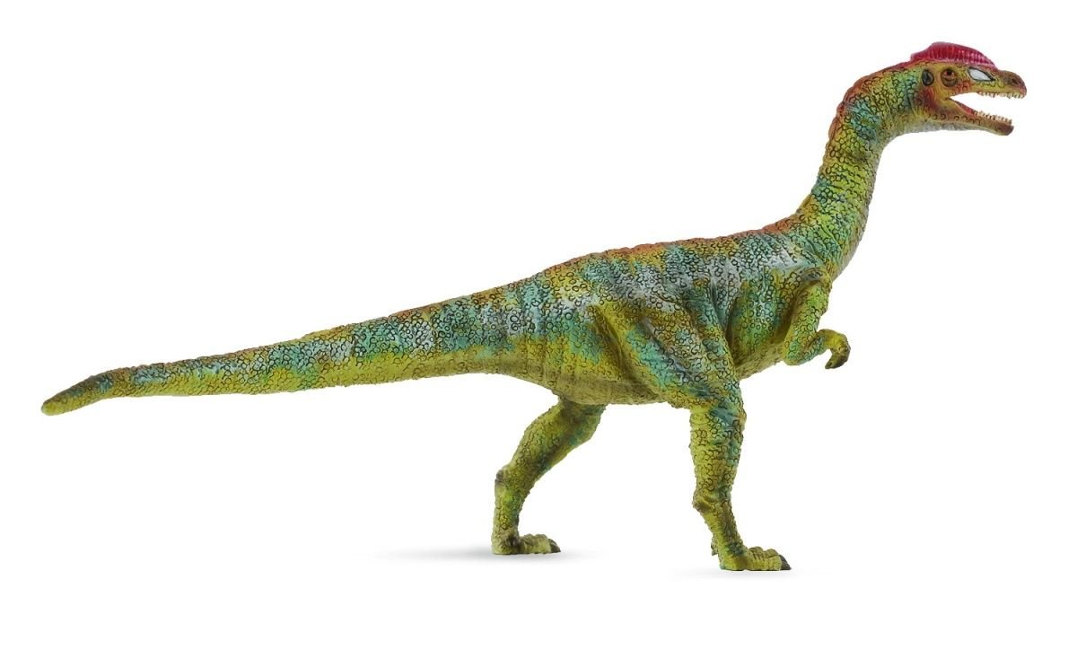 Collecta Dinozaur liliensternus L