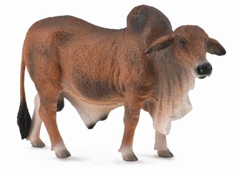 Collecta Byk czerwony brahman L