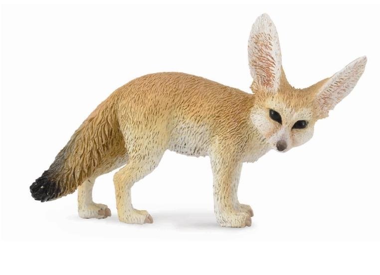 Collecta Lis fennec