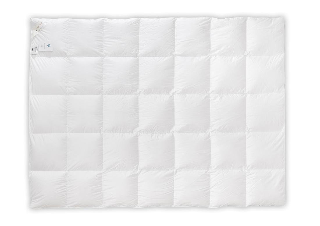AMZ Szamotuły Kolekcja Royal - Kołdra Zimowa 220x200 puch 100% C8C7-66571