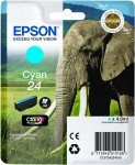 Epson C13T24224010