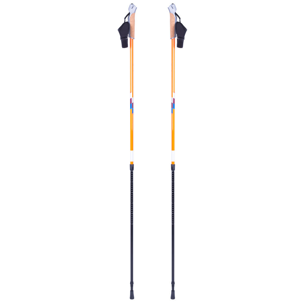 inSPORTline Kijki Nordic Walking Potosi /Insportline (13156)