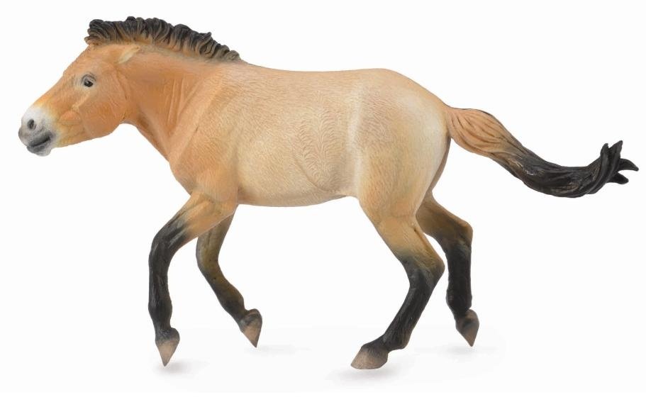 Collecta Ogier przewalski XL
