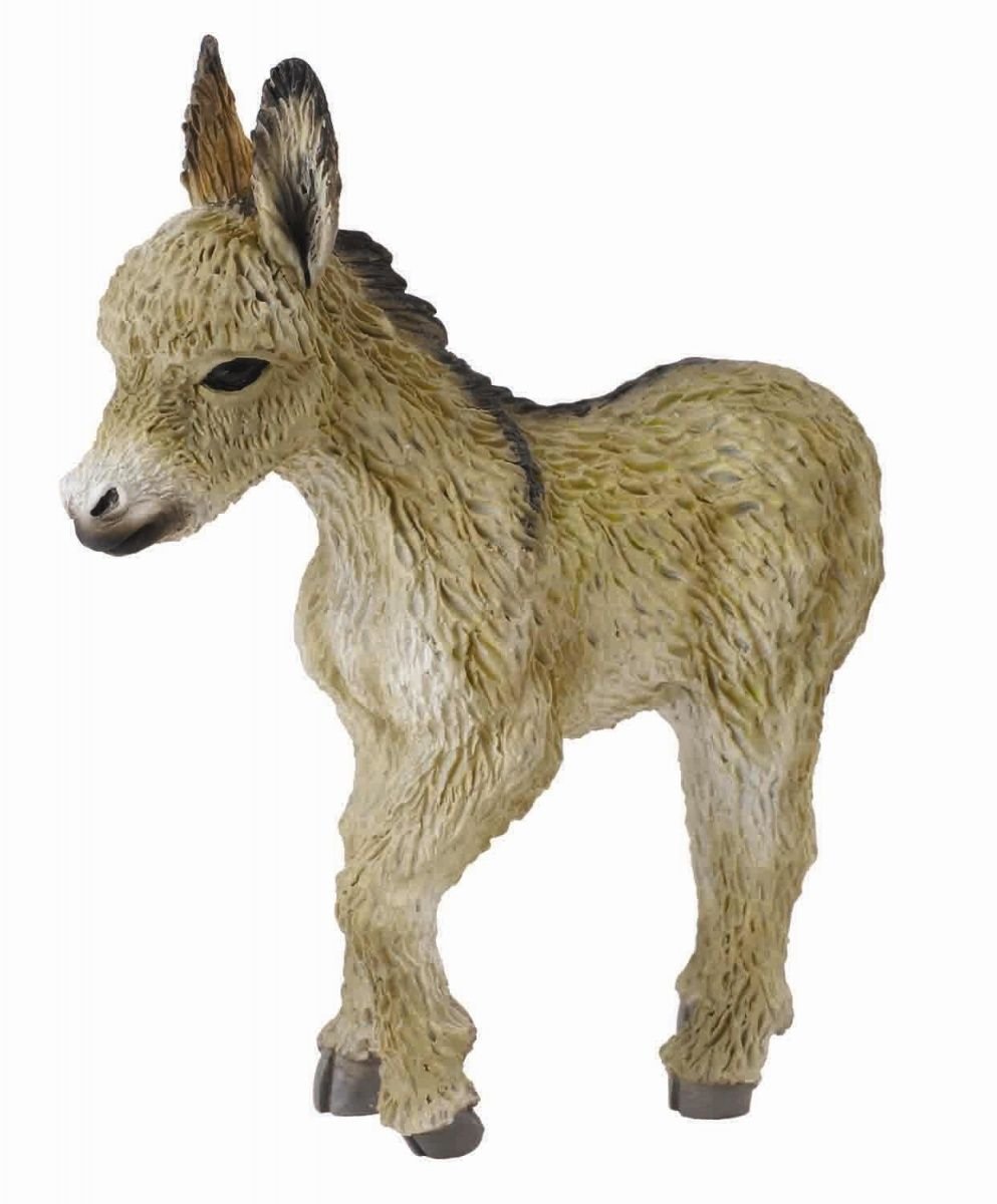 COLLECTA Źrebie osła idące