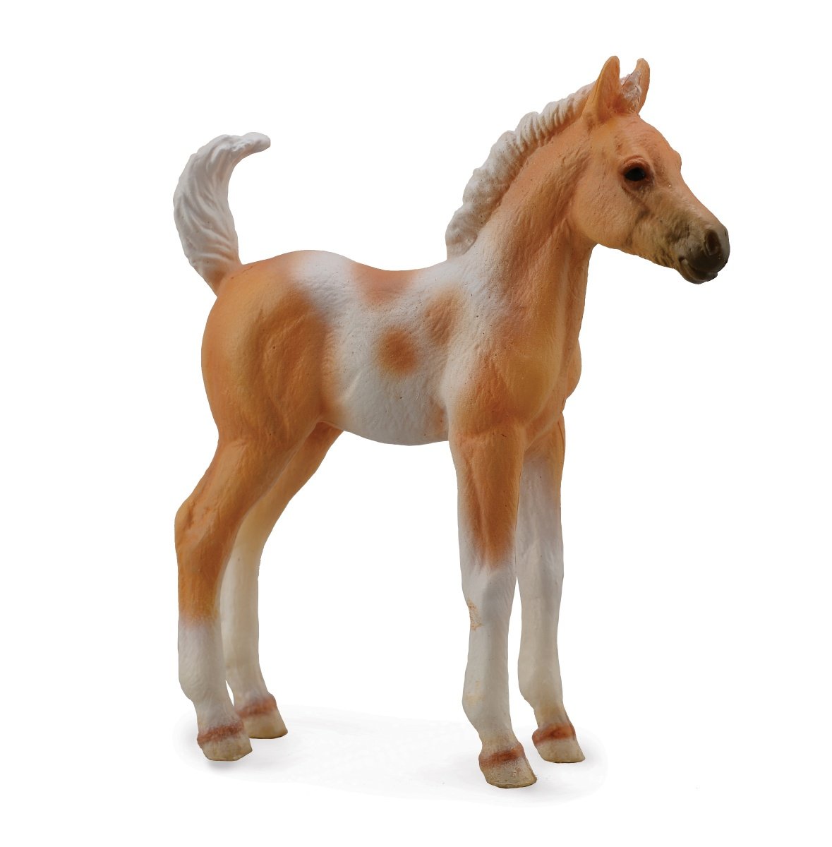 Collecta Źrebię rasy Pinto