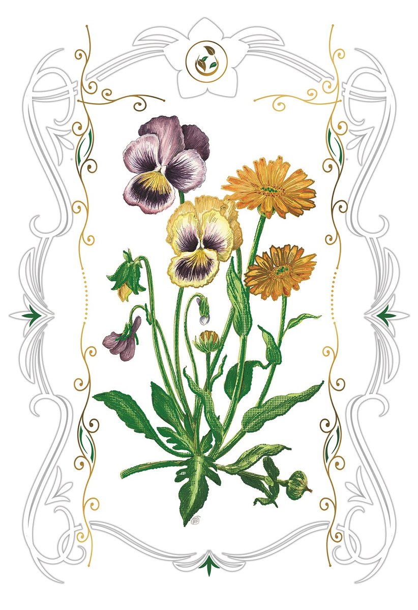 Karnet kwiaty bratki 12x18 + koperta DaVinci