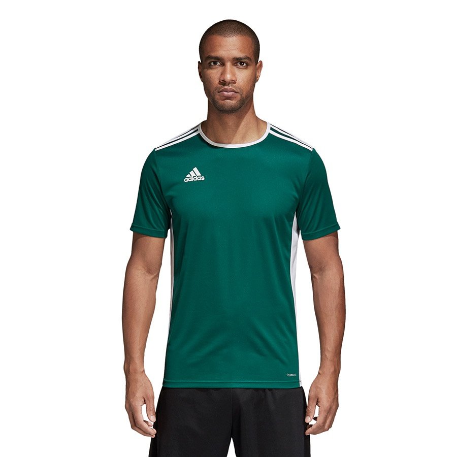 Adidas męski entrada 18 JSY koszulkach-Team koszulkach, wielokolorowa, m CD8358
