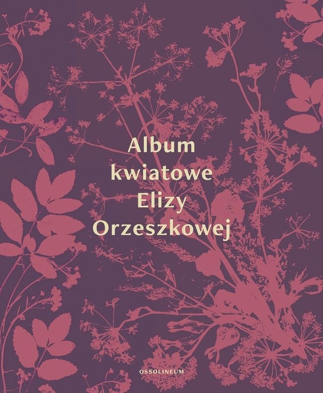 Orzeszkowa Eliza Album kwiatowe Elizy Orzeszkowej