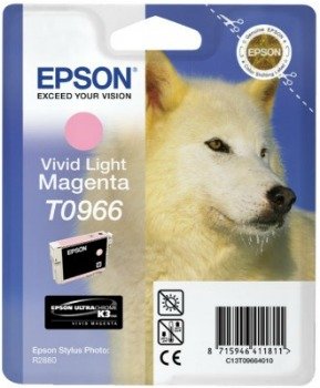 Epson T09664010