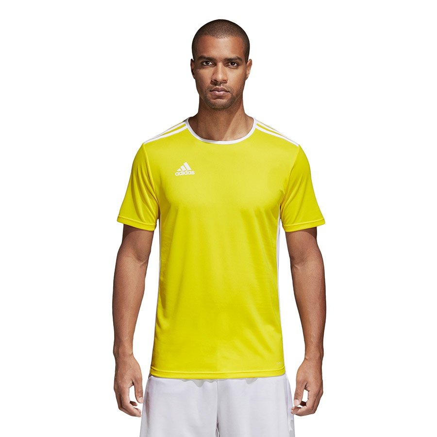 Adidas Koszulka Entrada 18 CD8390 żółta Rozmiar odzieży: XXL
