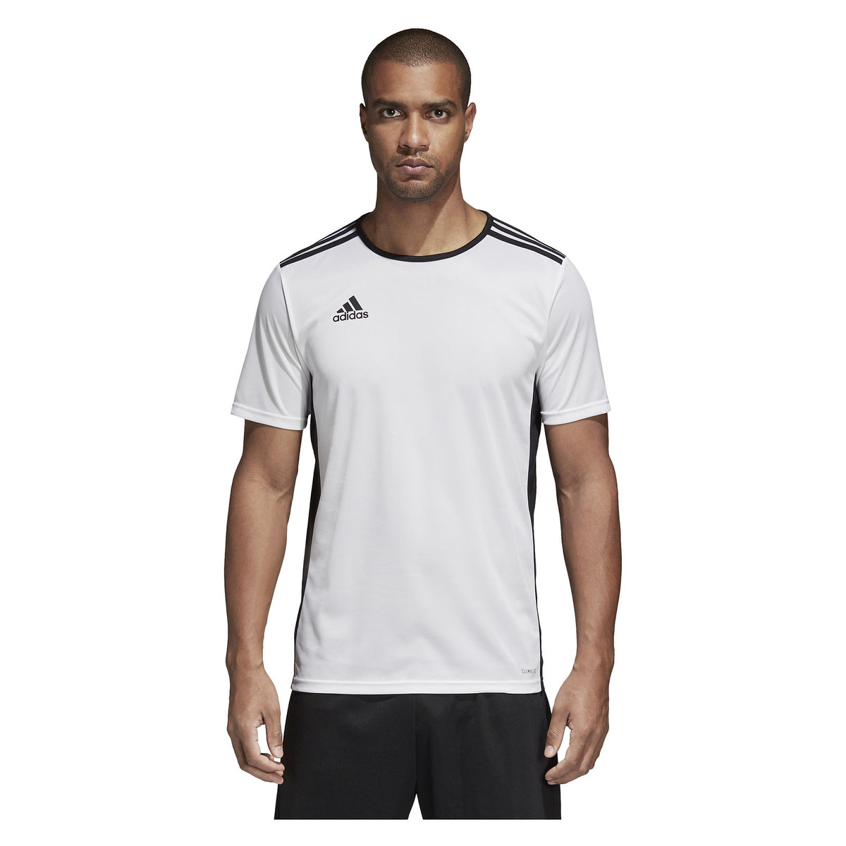 Adidas Koszulka piłkarska Entrada 18 JSY biała r XL CD8438