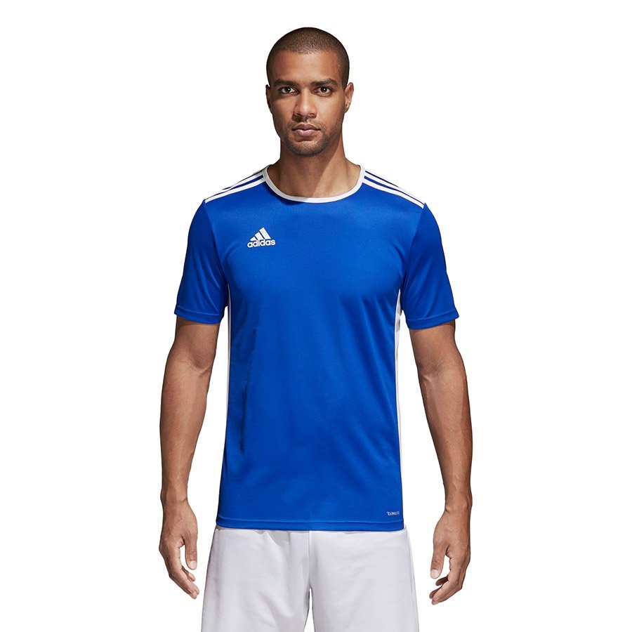 Adidas Koszulka Entrada 18 CF1037 niebieska Rozmiar odzieży: XXL