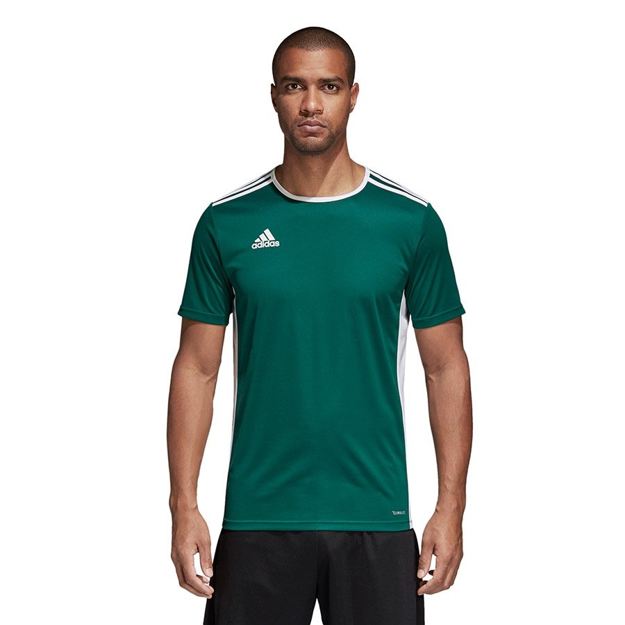 Adidas Koszulka piłkarska Entrada 18 JSY zielona r S CD8358 CD8358