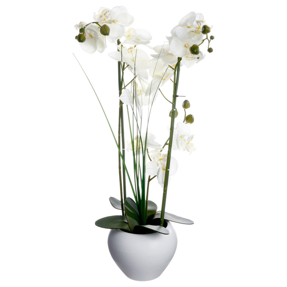 Atmosphera Créateur d'intérieur Atmosphera Créateur dintérieur Sztuczna orchidee w ceramicznej doniczce sztuczne kwiaty uniwersalna dekoracja ozdoba pokoju biura biała doniczka B072VR4W5L