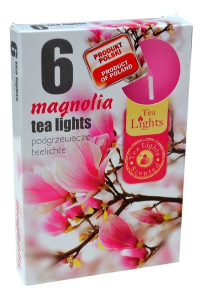 Admit Podgrzewacze zapachowe, magnolia, 6 szt.