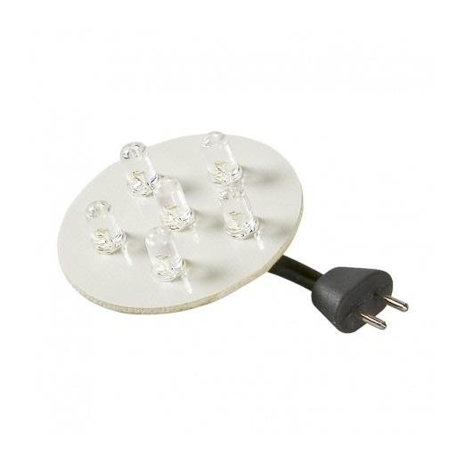Garden Light Przezroczysta żarówka LED 1W Garden Light 1170101 1170101