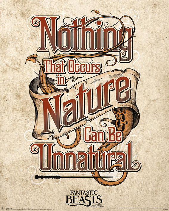 Plakat PYRAMID INTERNATIONAL, Fantastic Beasts (Unnatural) Mini, 40x50 cm