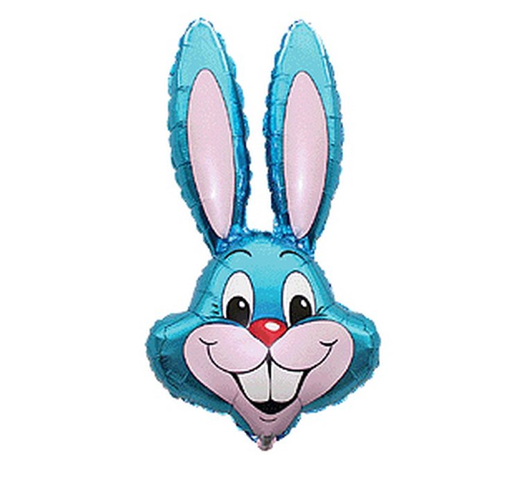 Rabbit 24