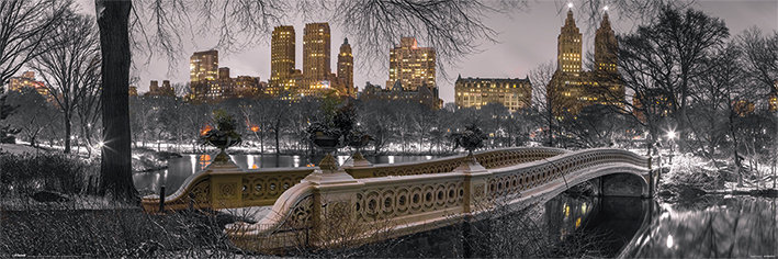 Pyramid Posters New York Bow Bridge Central Park - plakat 91,5x30,5 MCPP60230