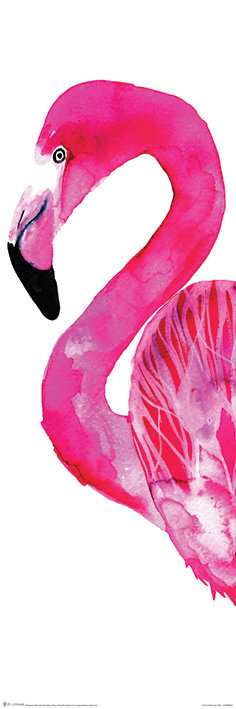 Plakat PYRAMID INTERNATIONAL, Sofie Rolfsdotter Flamingo, 30x91 cm